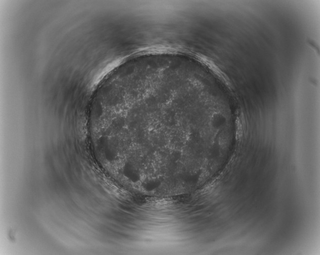 X0000102461213200808291535