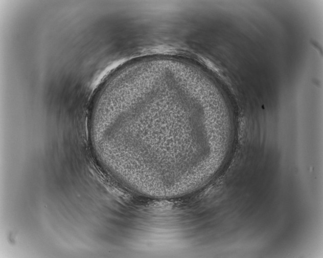 X0000102461214200808291535