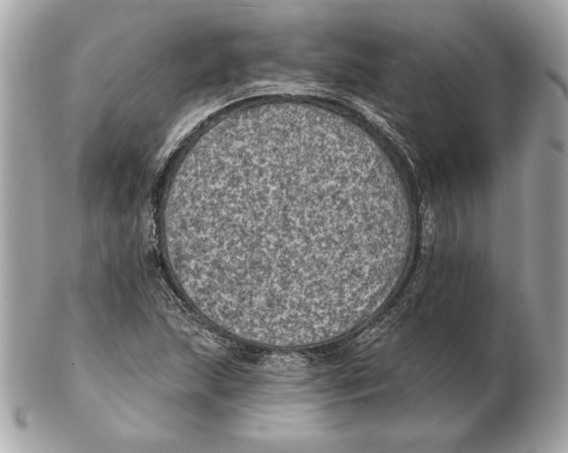 X0000102461215200808291535