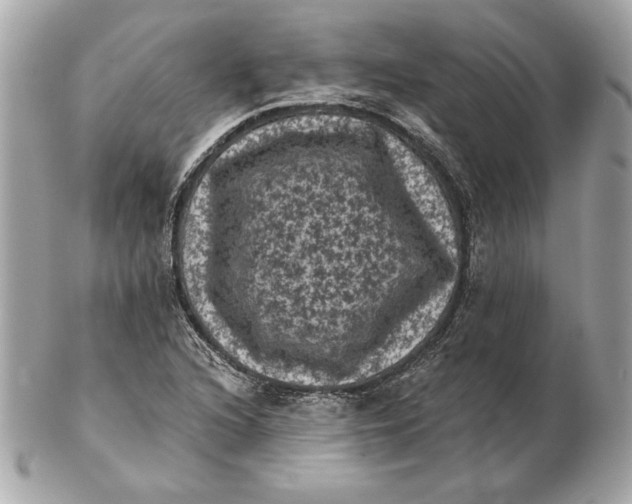 X0000102461216200808291535