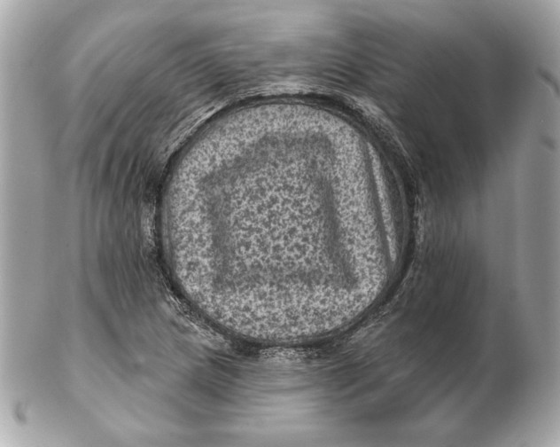 X0000102461217200808291535