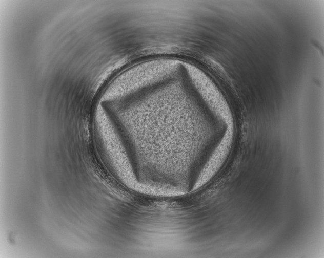 X0000102461218200808291535