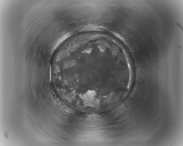 X0000102461219200808291535