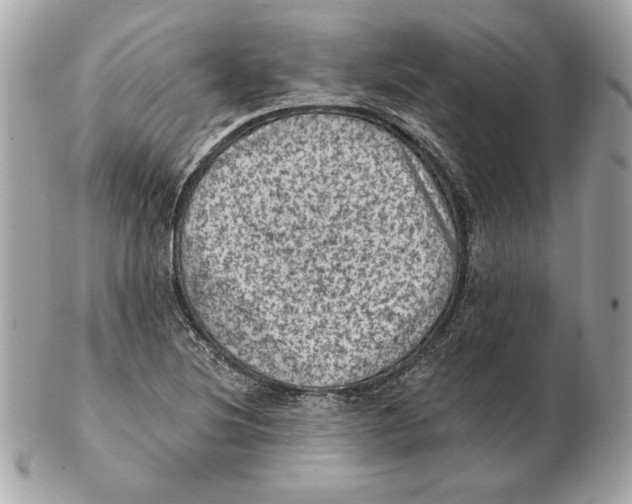 X0000102461220200808291535