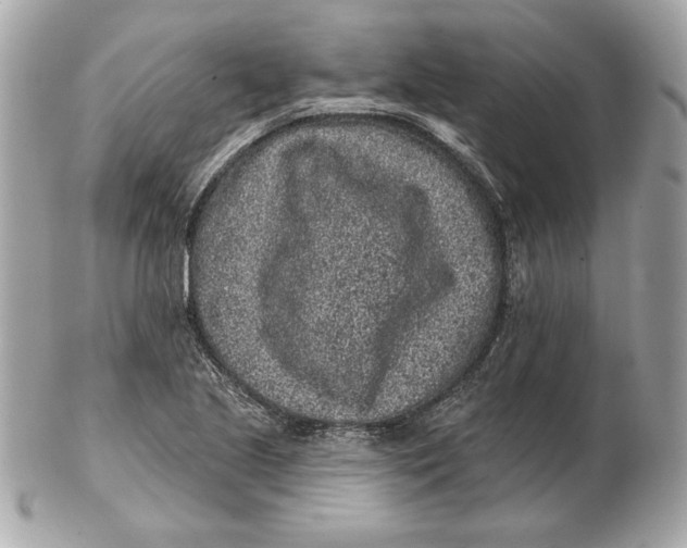 X0000102461221200808291535