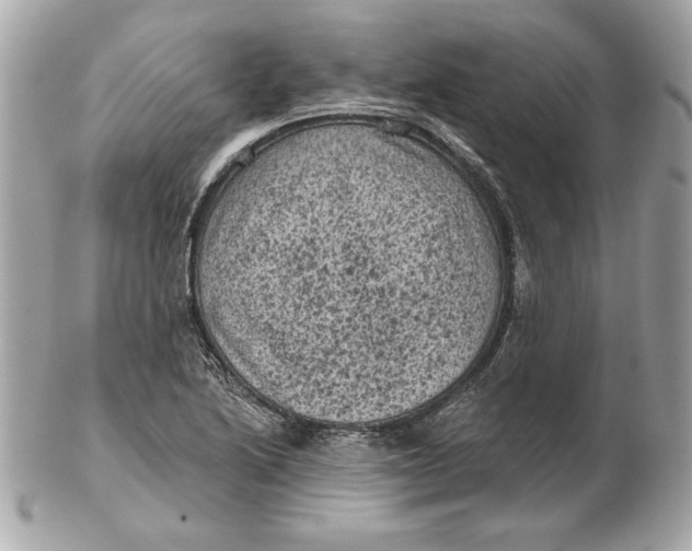 X0000102461222200808291535