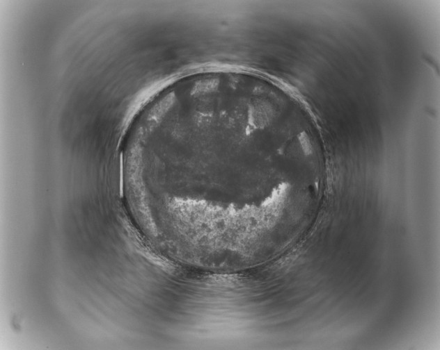 X0000102461223200808291535