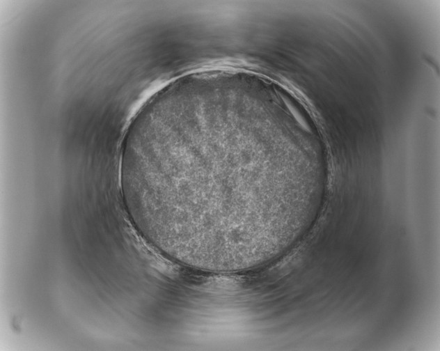 X0000102461224200808291535