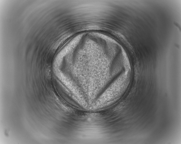 X0000102461225200808291535