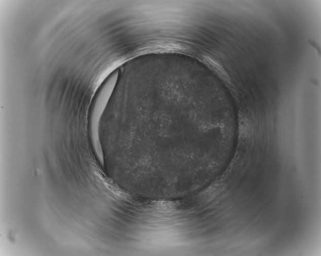 X0000102461226200808291535