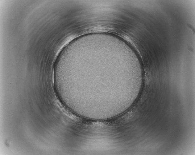 X0000102461227200808291535