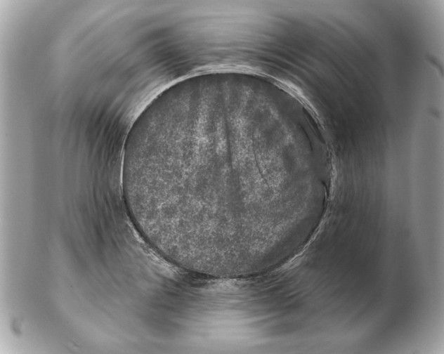 X0000102461228200808291535