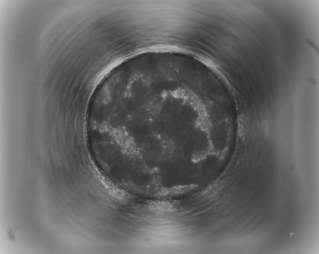 X0000102461229200808291535