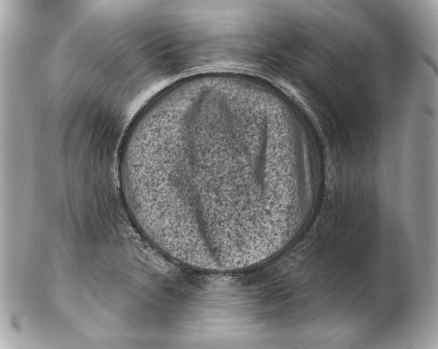 X0000102461230200808291535