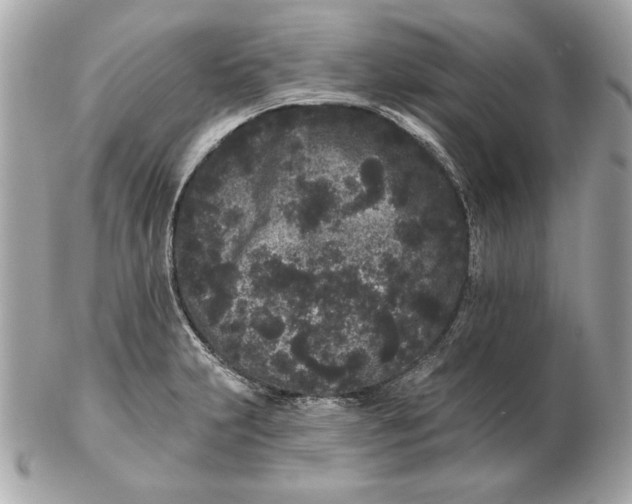 X0000102461231200808291535