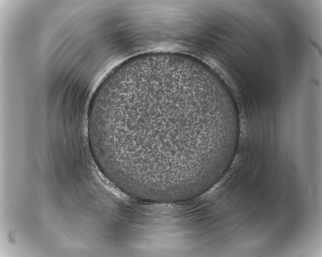 X0000102461232200808291535