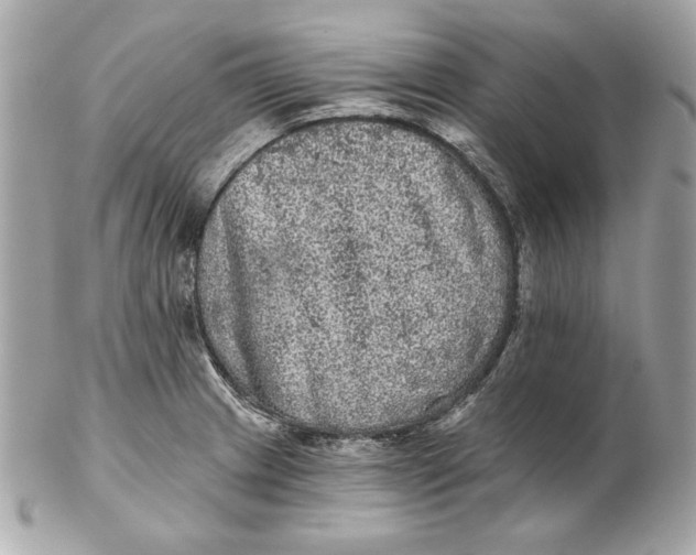 X0000102461233200808291535