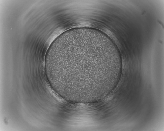 X0000102461234200808291535