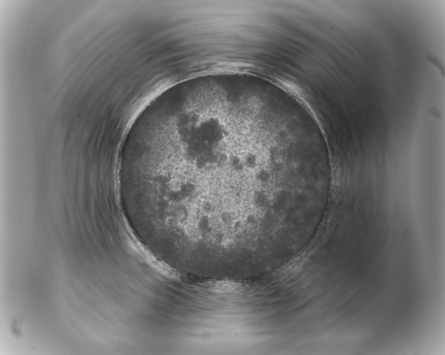 X0000102461235200808291535