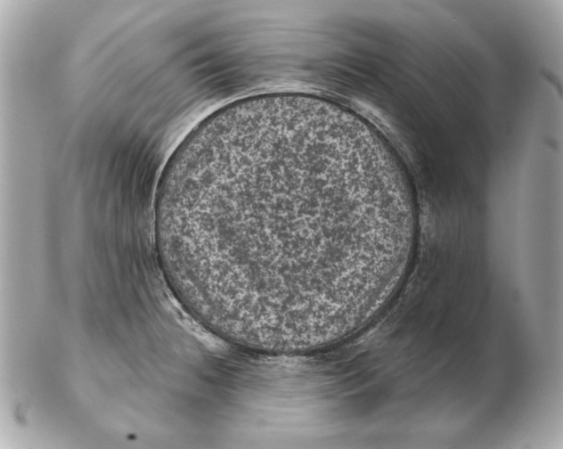 X0000102461236200808291535