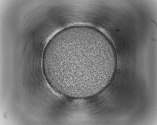 X0000102461237200808291535