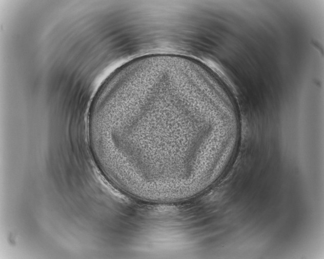 X0000102461238200808291535