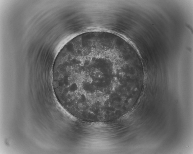 X0000102461239200808291535