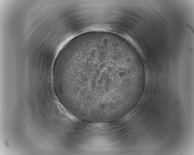 X0000102461240200808291535