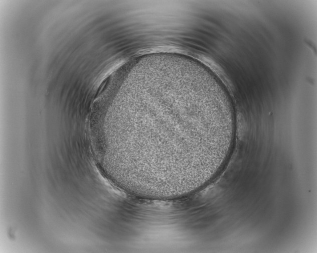 X0000102461241200808291535