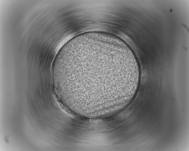 X0000102461242200808291535