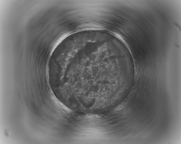 X0000102461243200808291535