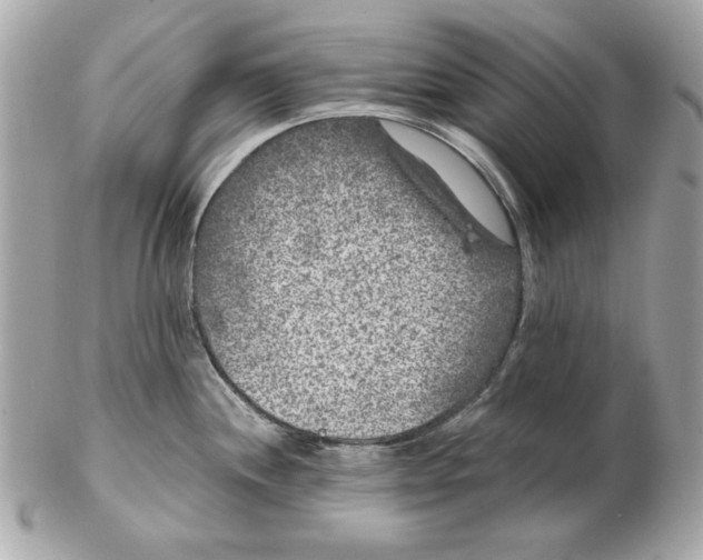 X0000102461244200808291535