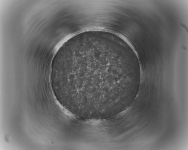 X0000102461245200808291535