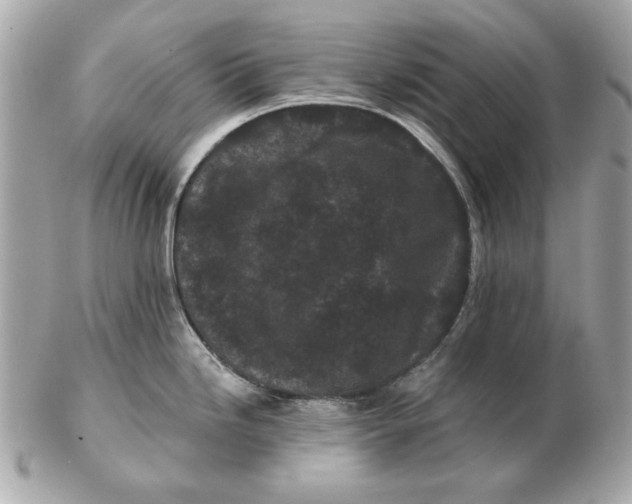 X0000102461246200808291535