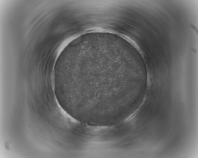 X0000102461247200808291535