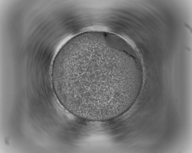 X0000102461248200808291535