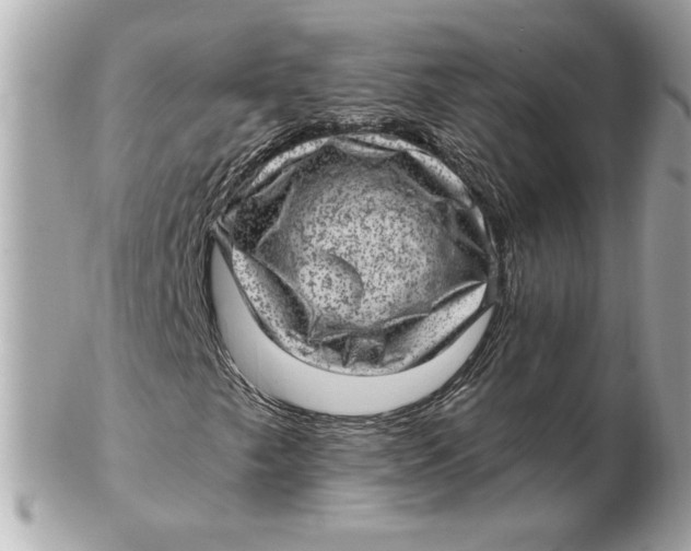 X0000102461249200808291535