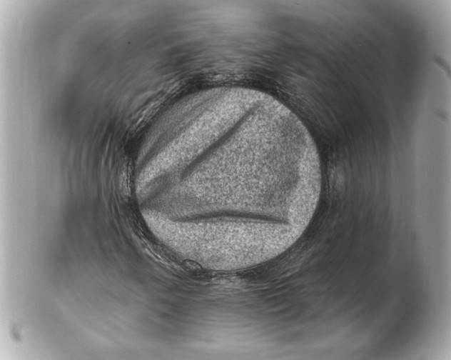 X0000102461250200808291535