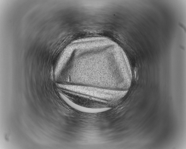 X0000102461251200808291535