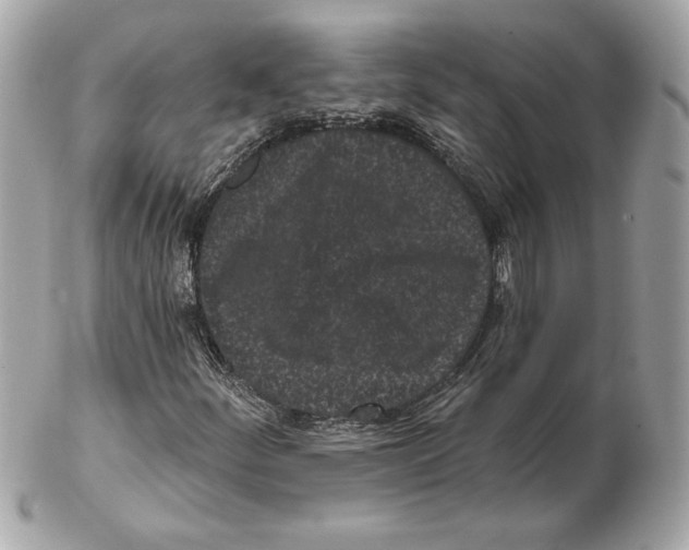 X0000102461252200808291535