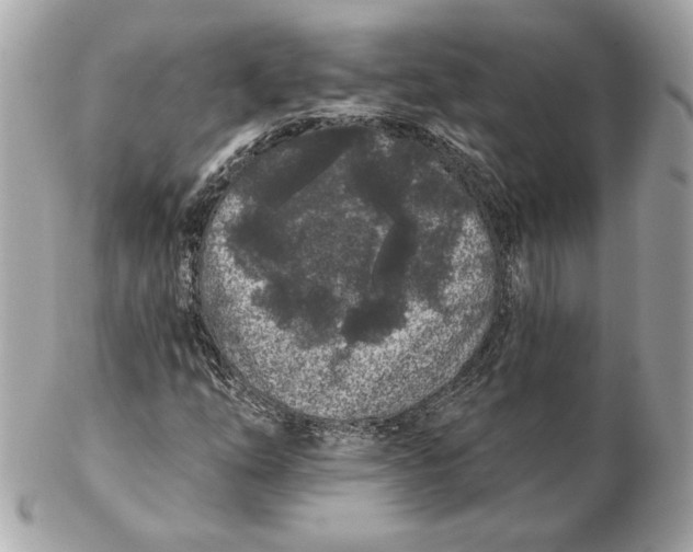 X0000102461254200808291534