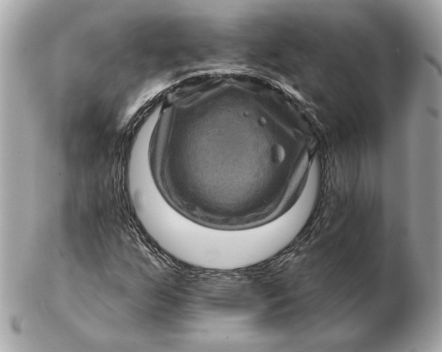 X0000102461255200808291534