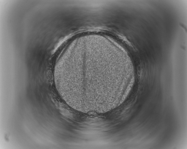 X0000102461256200808291534