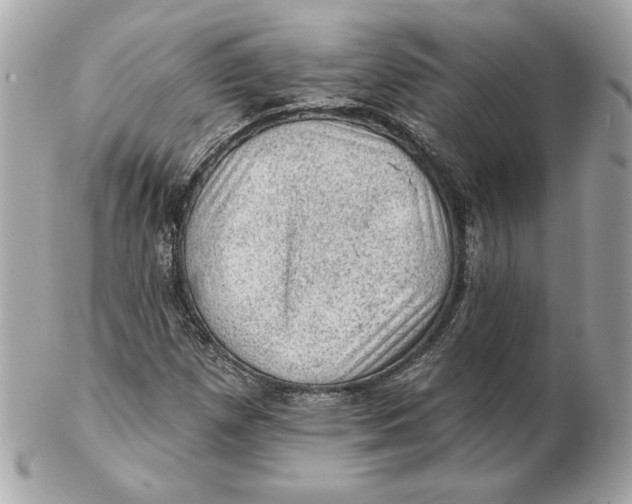 X0000102461257200808291534