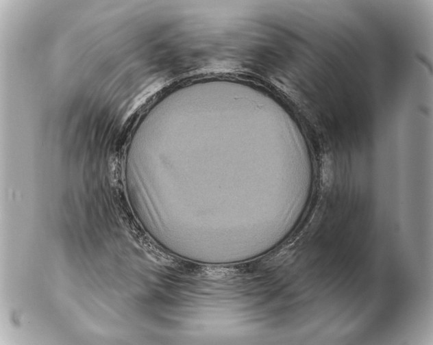 X0000102461258200808291534