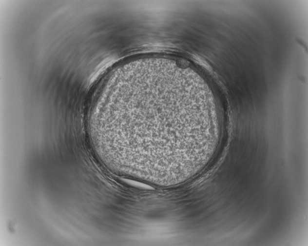 X0000102461259200808291534