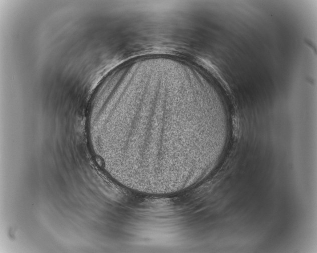 X0000102461260200808291534