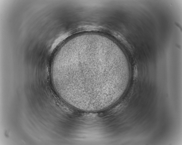 X0000102461261200808291534