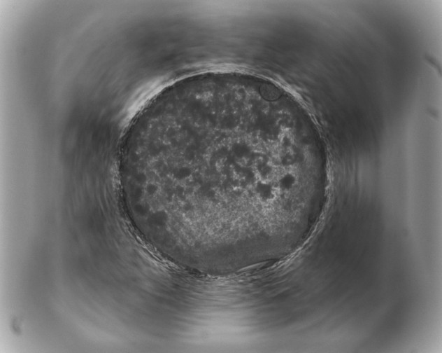 X0000102461263200808291534