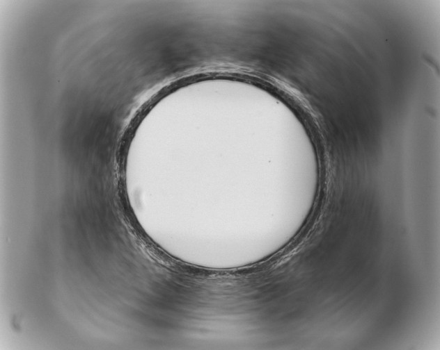 X0000102461264200808291534